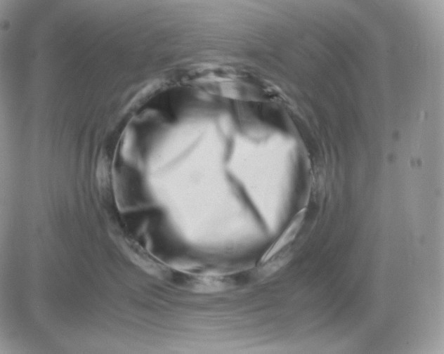 X0000081430623200701261824