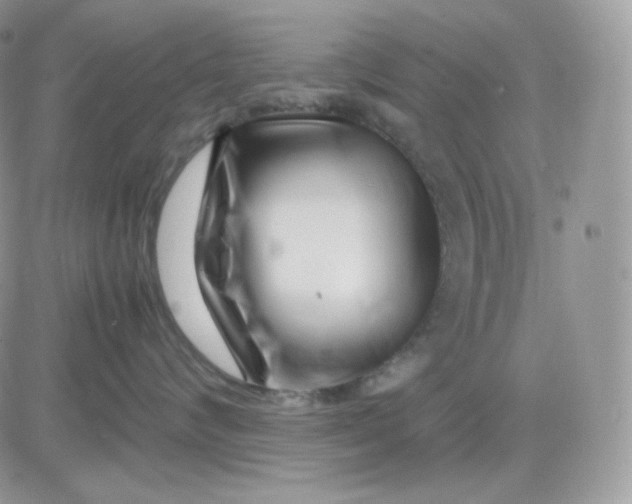 X0000081430624200701261824