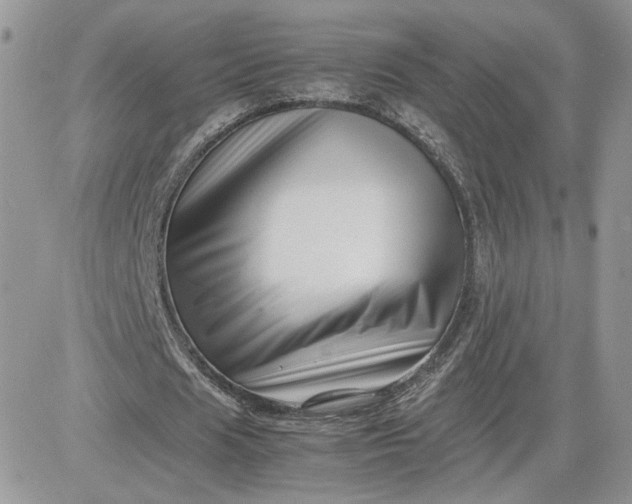 X0000081430625200701261823