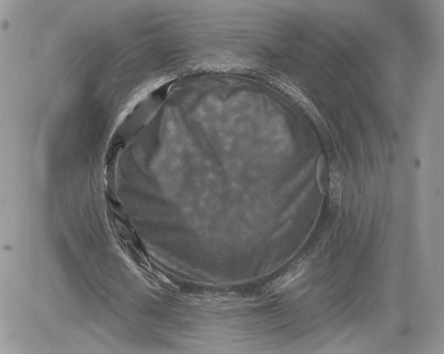 X0000081430626200701261823