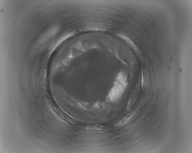 X0000081430627200701261823