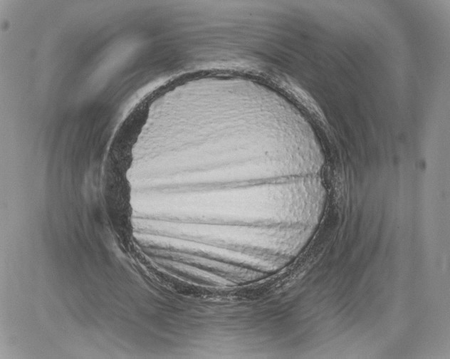 X0000081430628200701261823