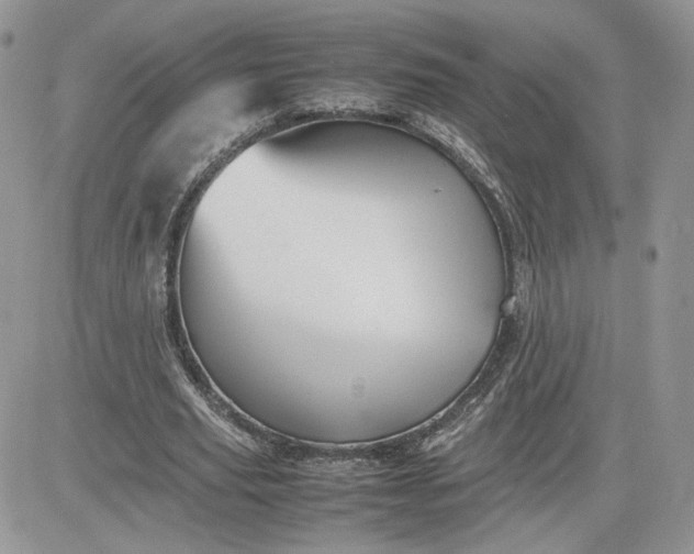 X0000081430629200701261823