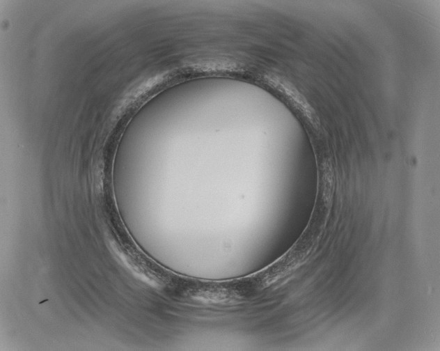 X0000081430631200701261823