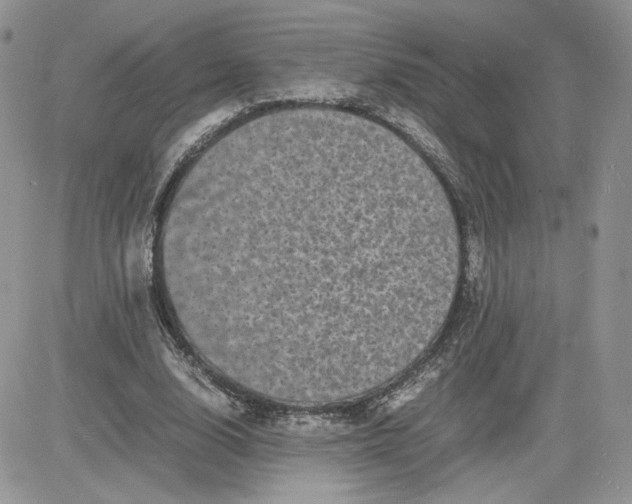 X0000081430632200701261823