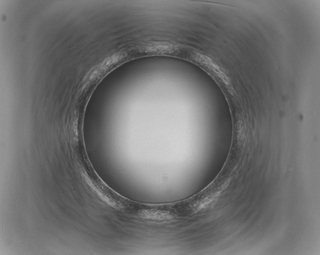 X0000081430633200701261823