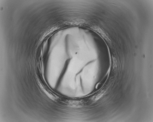 X0000081430634200701261823