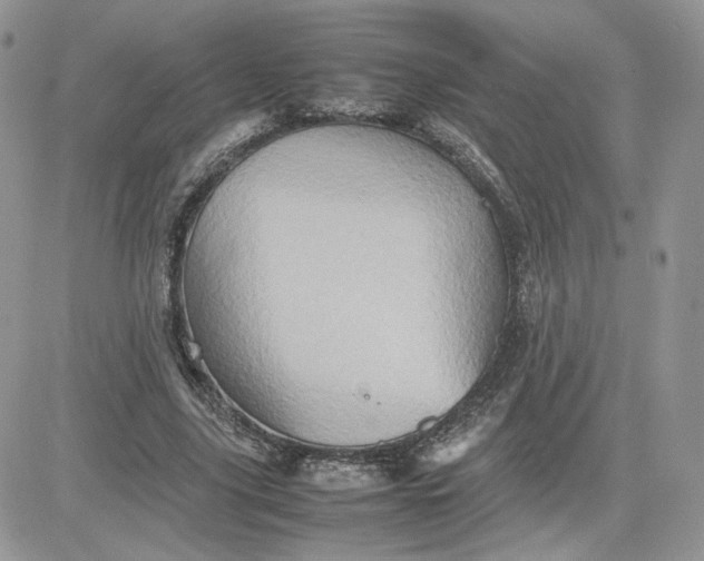 X0000081430635200701261823