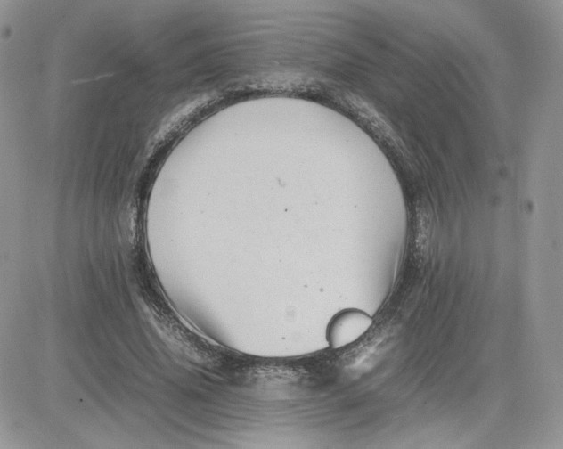 X0000081430636200701261823