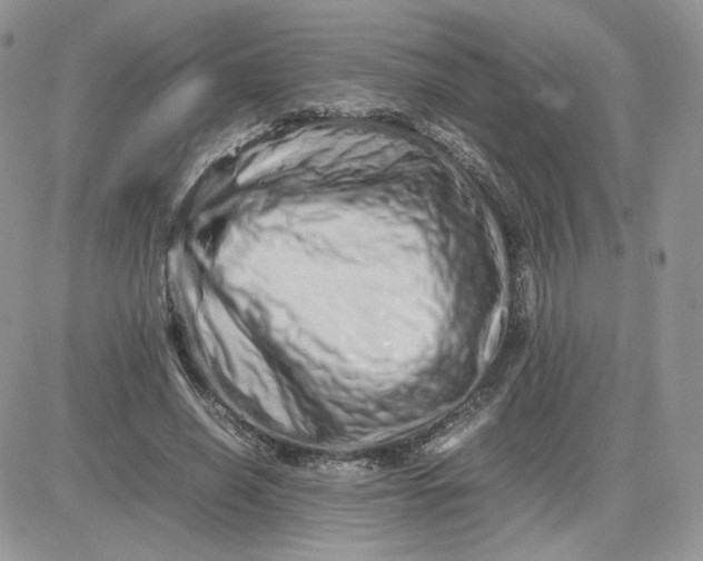 X0000081430638200701261823