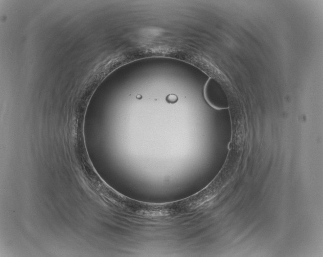 X0000081430639200701261823