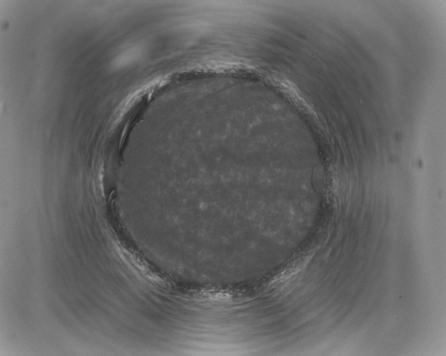 X0000081430640200701261823