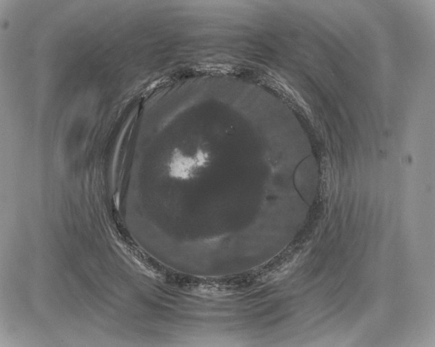 X0000081430641200701261823