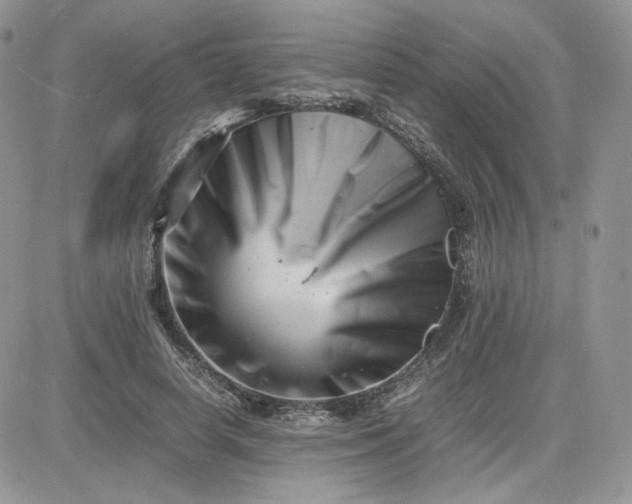 X0000081430642200701261823