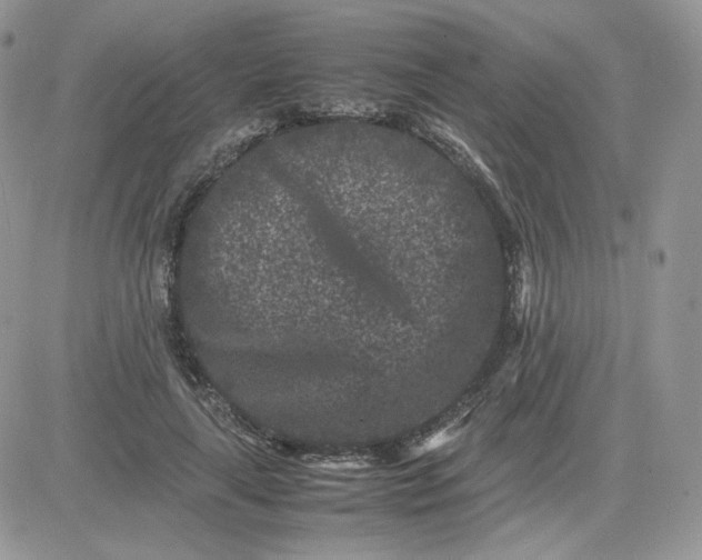 X0000081430643200701261823