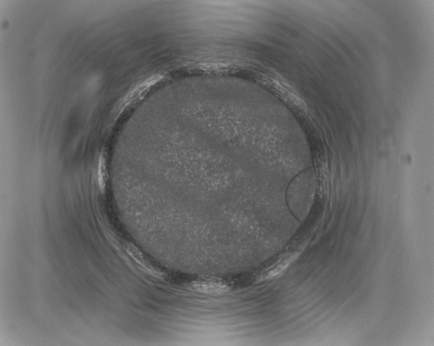 X0000081430644200701261823