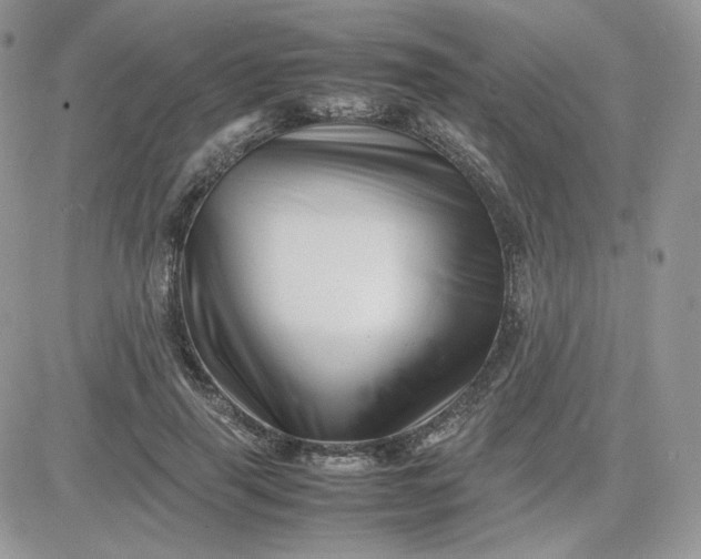 X0000081430645200701261824