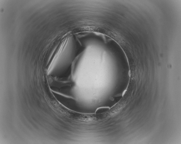 X0000081430646200701261824