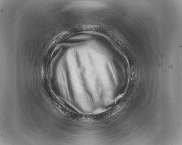 X0000081430648200701261824