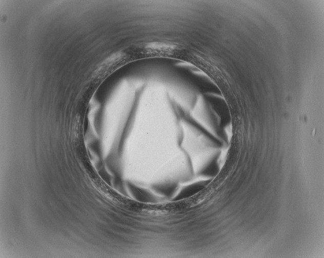 X0000081430649200701261824