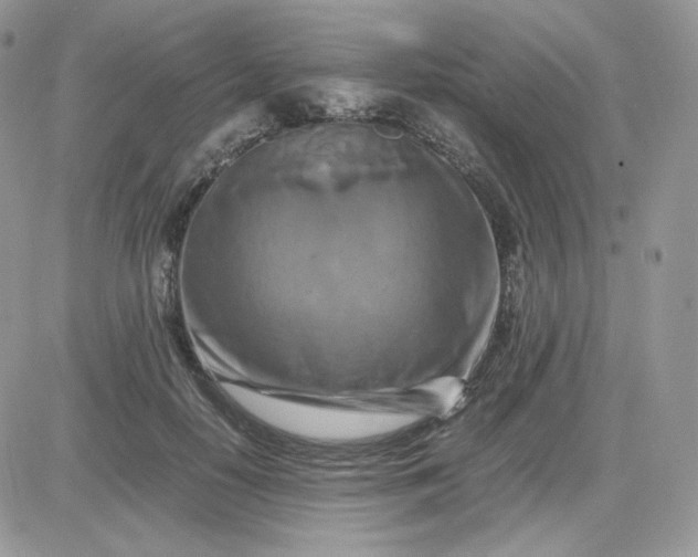 X0000081430650200701261824