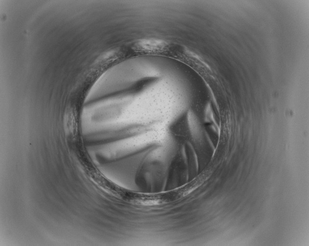 X0000081430651200701261824