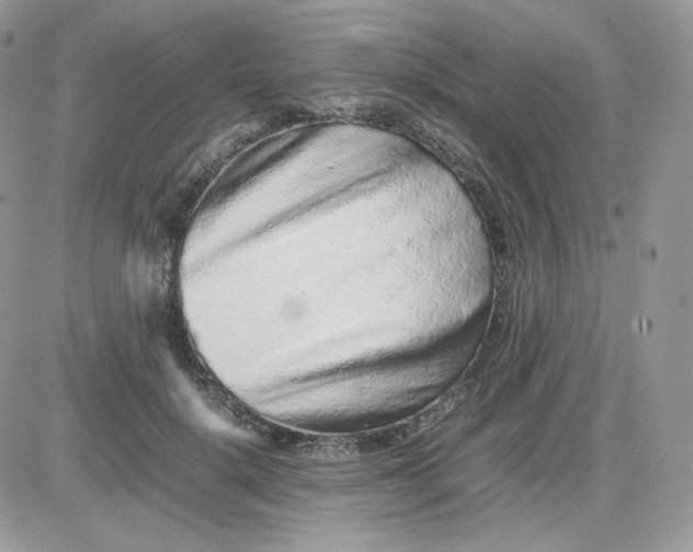 X0000081430652200701261824