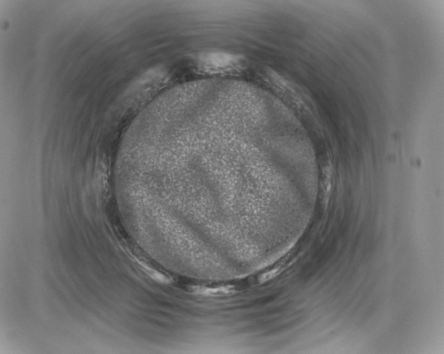 X0000081430653200701261824