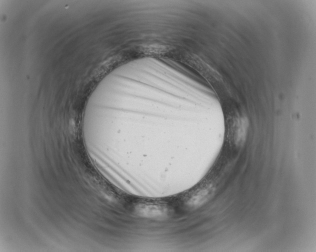 X0000081430655200701261824