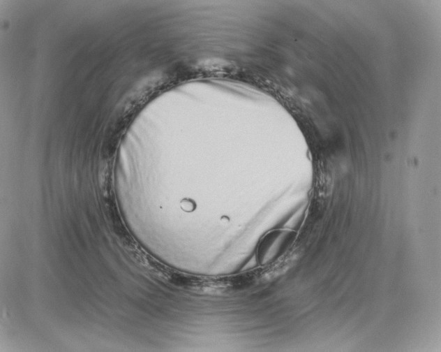 X0000081430656200701261824