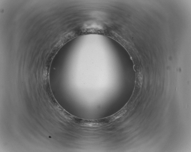 X0000081430657200701261824