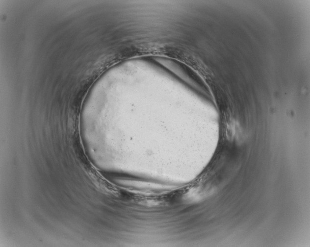 X0000081430658200701261824