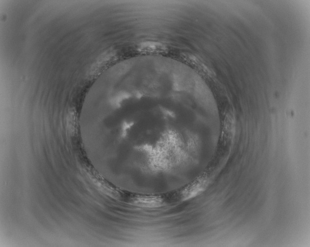 X0000081430659200701261824