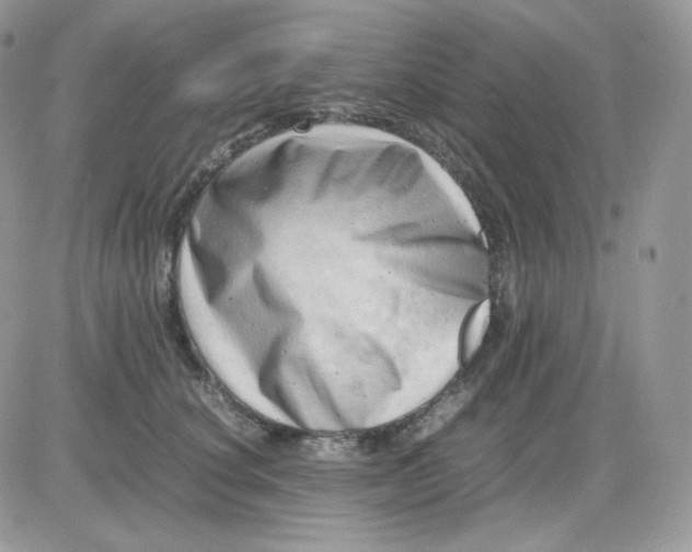 X0000081430660200701261824