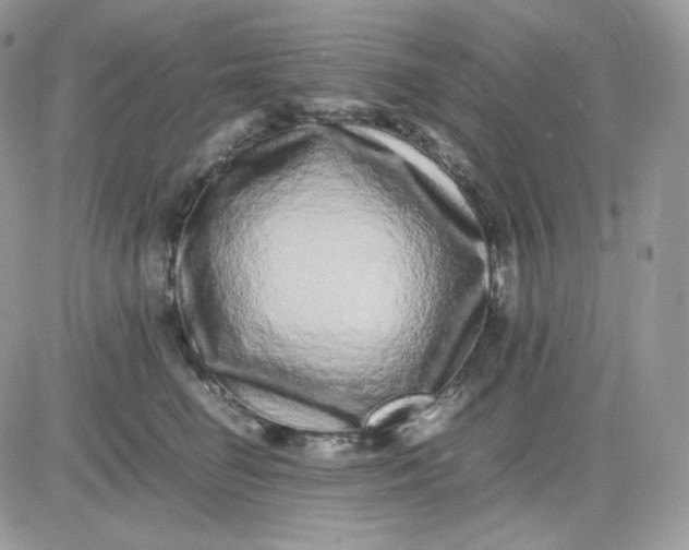 X0000081430662200701261824