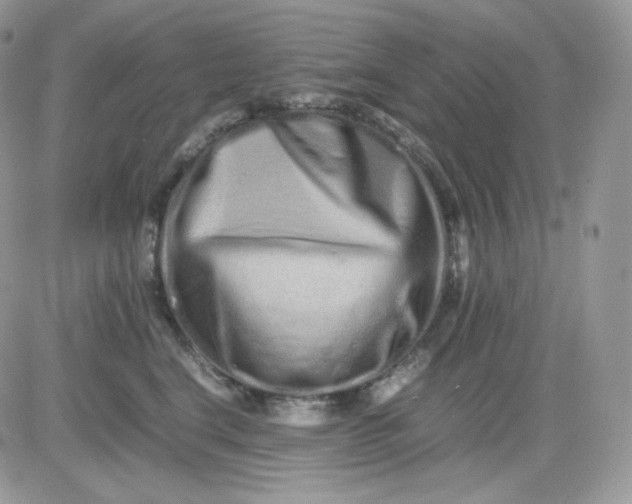 X0000081430664200701261824