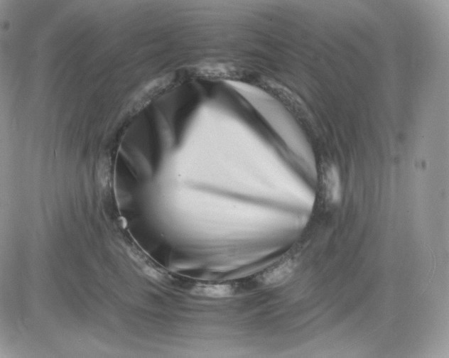 X0000081430665200701261824