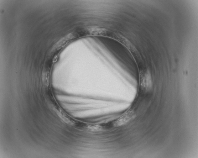 X0000081430666200701261824