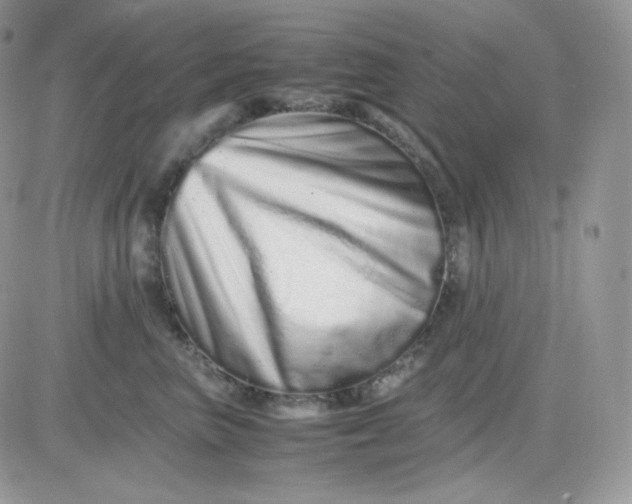 X0000081430667200701261824