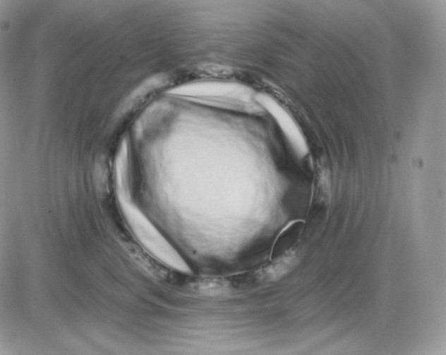 X0000081430668200701261824