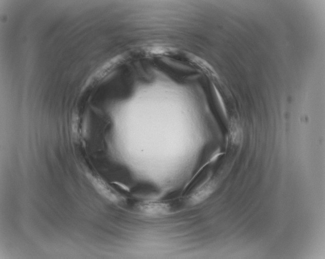 X0000081430670200701261824