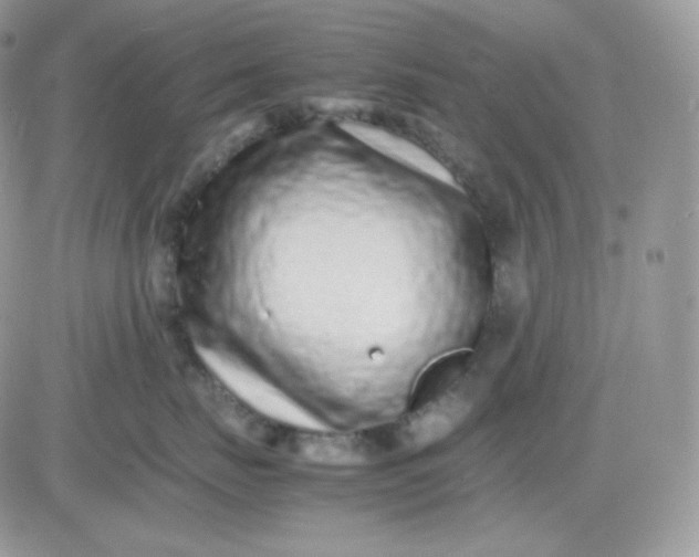 X0000081430671200701261824