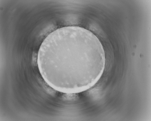 X0000081430672200701261824