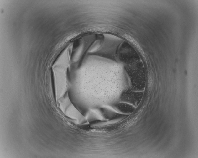 X0000081430673200701261823