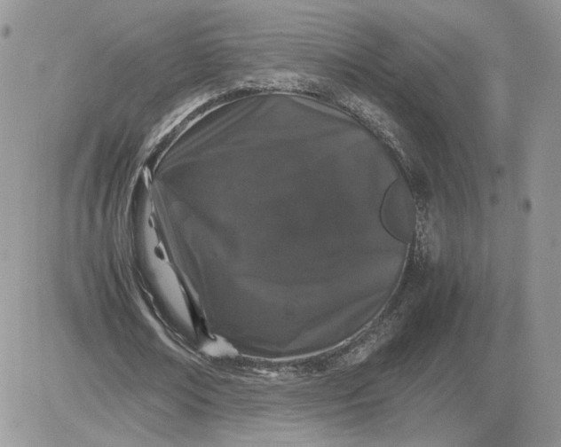 X0000081430674200701261823