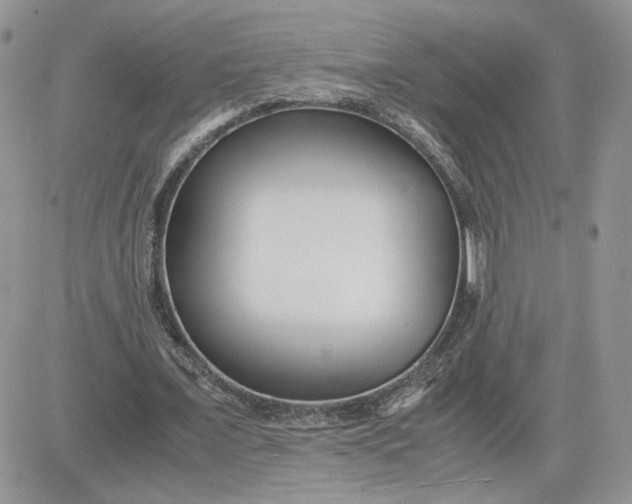 X0000081430675200701261823