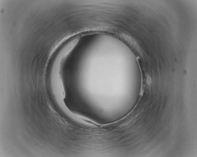 X0000081430676200701261823