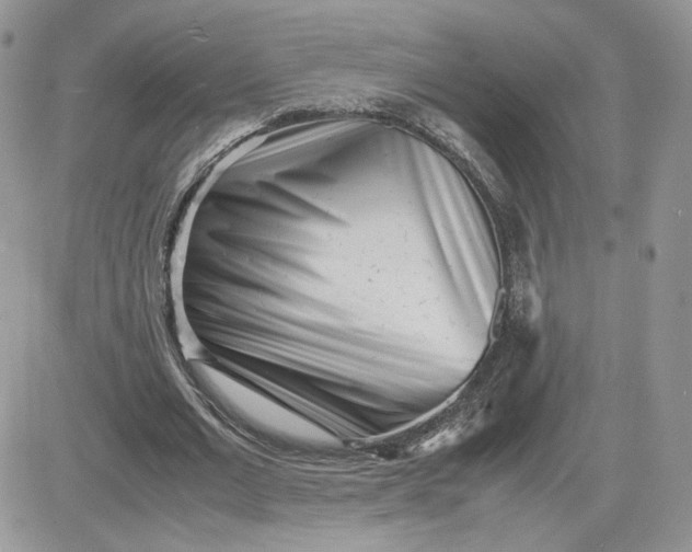 X0000081430677200701261823