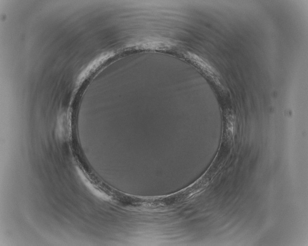 X0000081430678200701261823