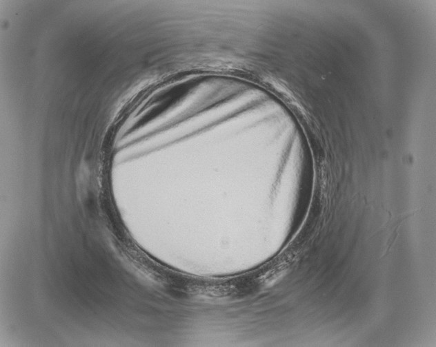 X0000081430679200701261823